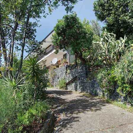 Apartman Casa Braun *