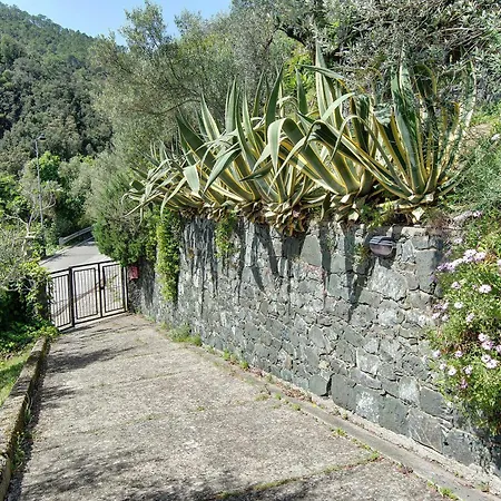 Casa Braun * Bonassola