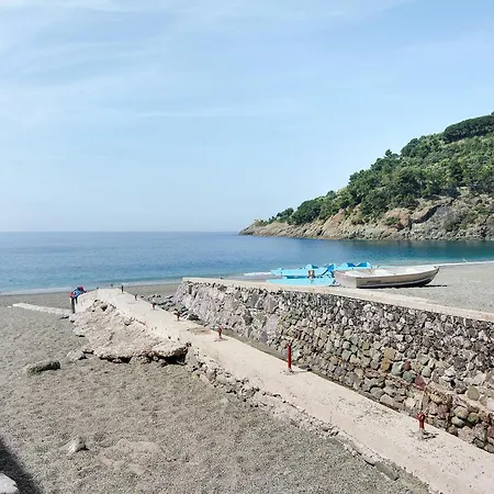Casa Braun *